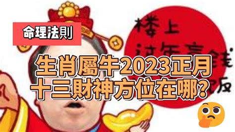 屬牛 2023